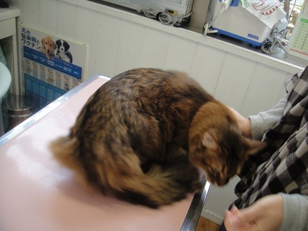 2006122505.jpg