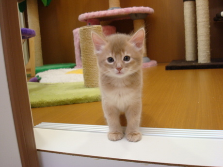 20090828152811phpOO9Hpi.jpg