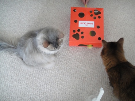 2010032602.jpg