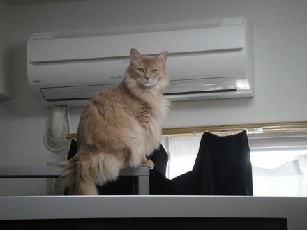 20110091100.jpg