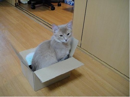 2011012901.jpg