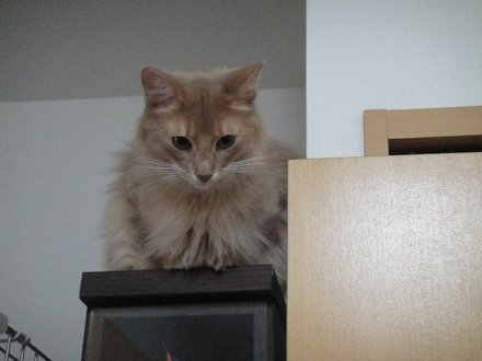 201103005.jpg