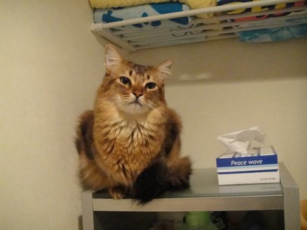 20110300800.jpg