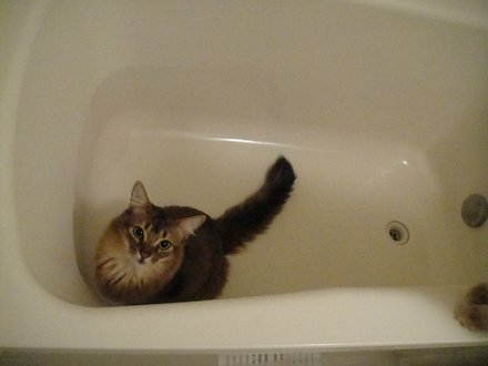 20110300801.jpg