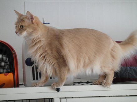 2011030101.jpg
