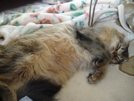 2011031000.jpg