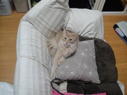 2011031002.jpg