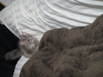 2011031003.jpg