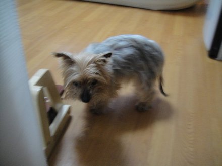 2011032001.jpg