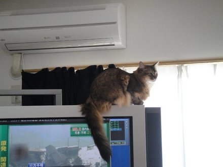 2011032101.jpg
