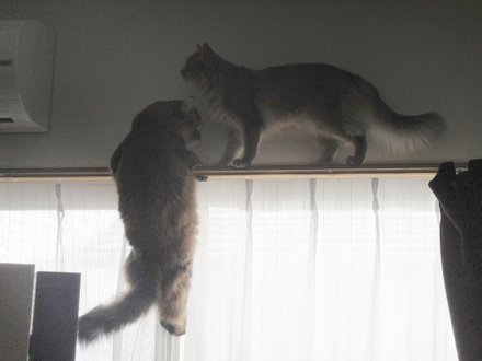 2011032200.jpg
