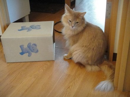 2011032300.jpg