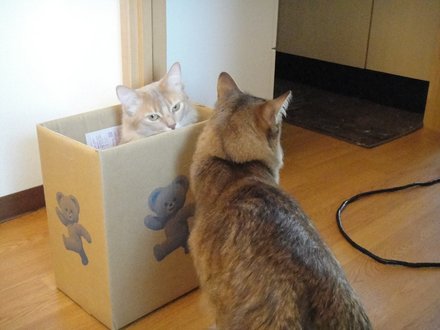 2011032301.jpg