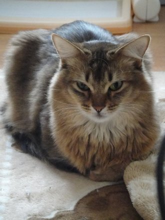 2011032400.jpg