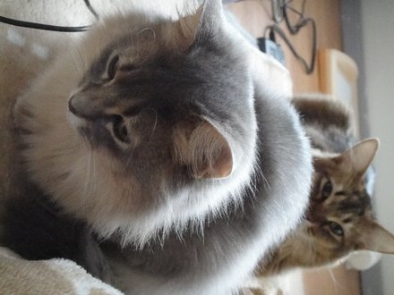 2011032401.jpg