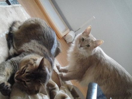 2011032402.jpg