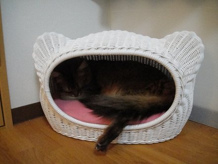 2011032700.jpg