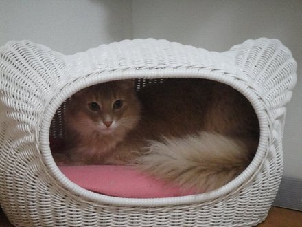 2011032701.jpg