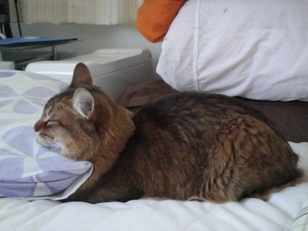 2011032800.jpg