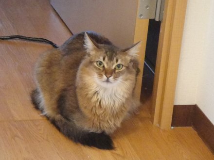 2011032801.jpg