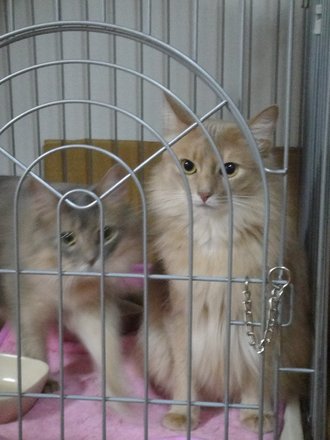 2011032900.jpg