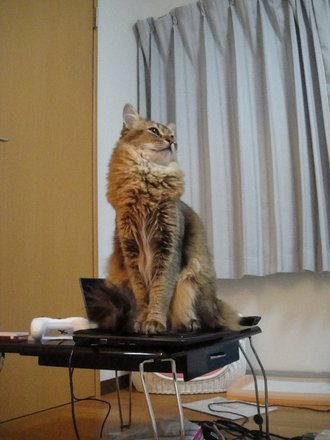 2011040301.jpg