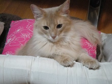 2011040303.jpg