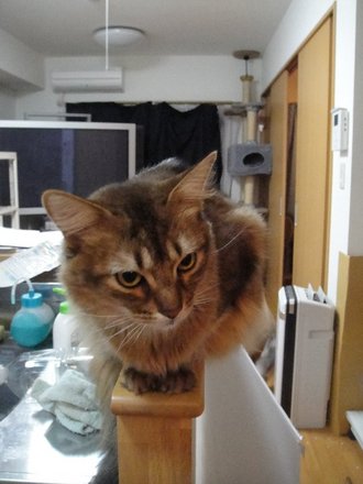 2011040304.jpg