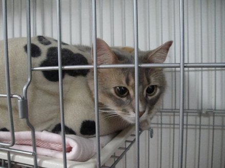 2011040305.jpg