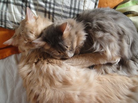 2011040401.jpg