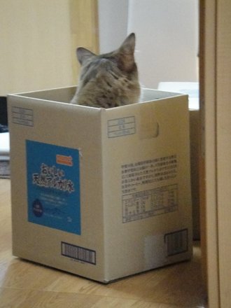 2011040407.jpg