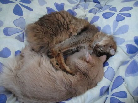 2011040409.jpg