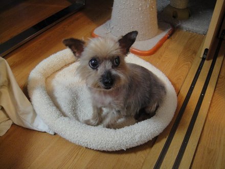 2011041000.jpg