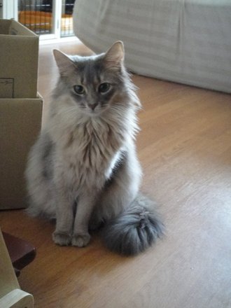 2011041300.jpg