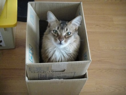 2011041301.jpg