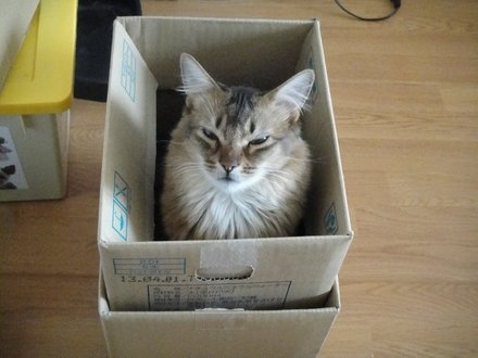 2011041302.jpg