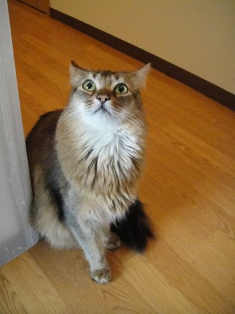 2011041401.jpg