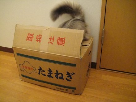 2011041600.jpg