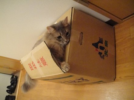 2011041601.jpg