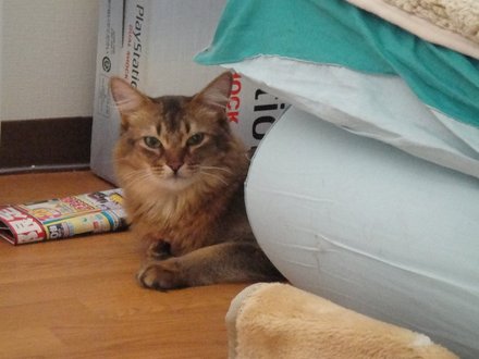 2011042400.jpg