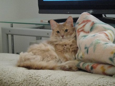 2011042500.jpg