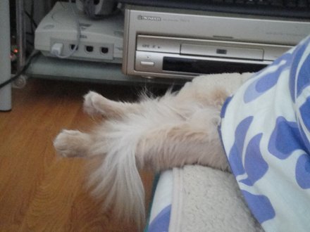 2011042501.jpg