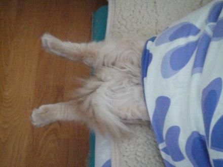 2011042502.jpg