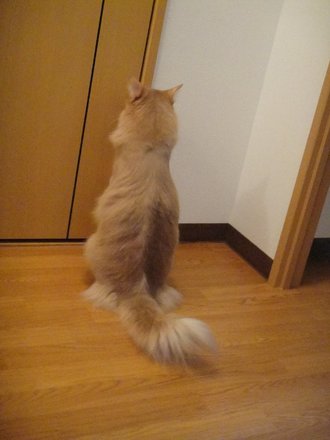 2011042600.jpg
