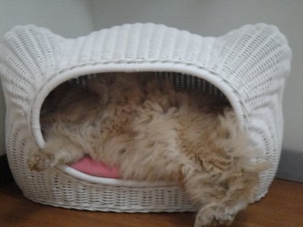 2011042700.jpg