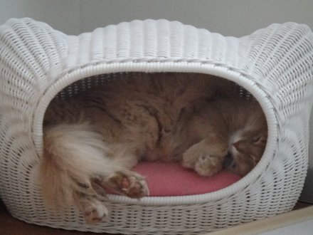 2011042701.jpg