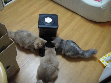 2011043000.jpg