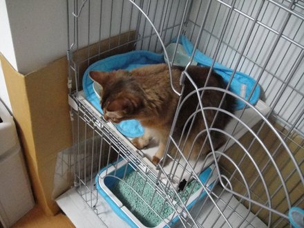 2011043001.jpg