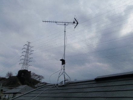 2011050304.jpg