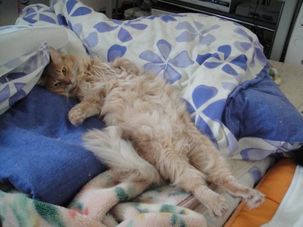 2011050500.jpg
